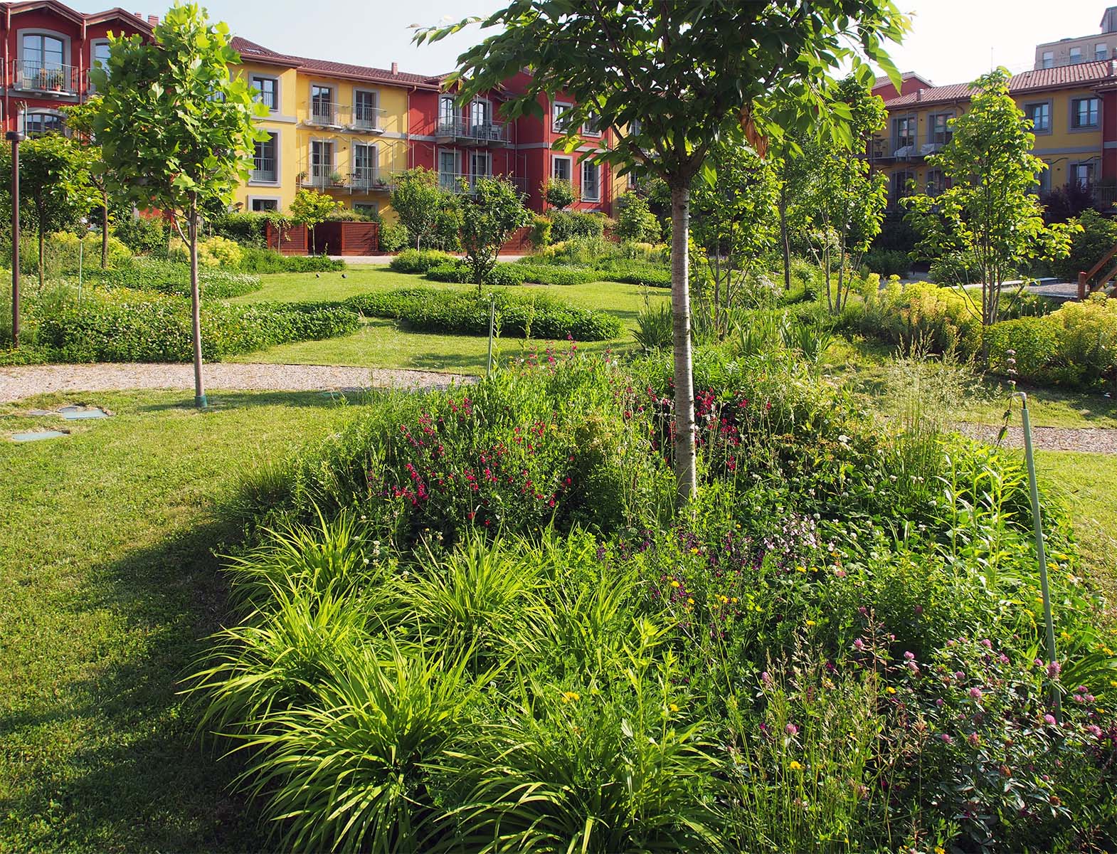 Forrest 20250514 (18).JPG