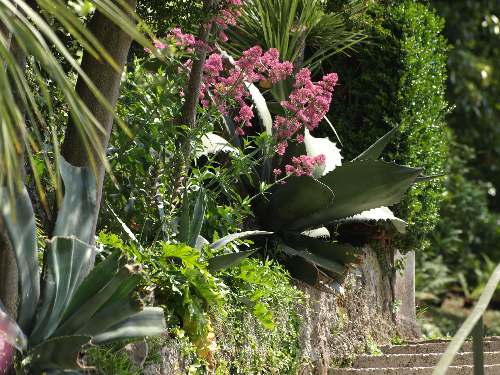 Villa Giudici_Nesso (6)low