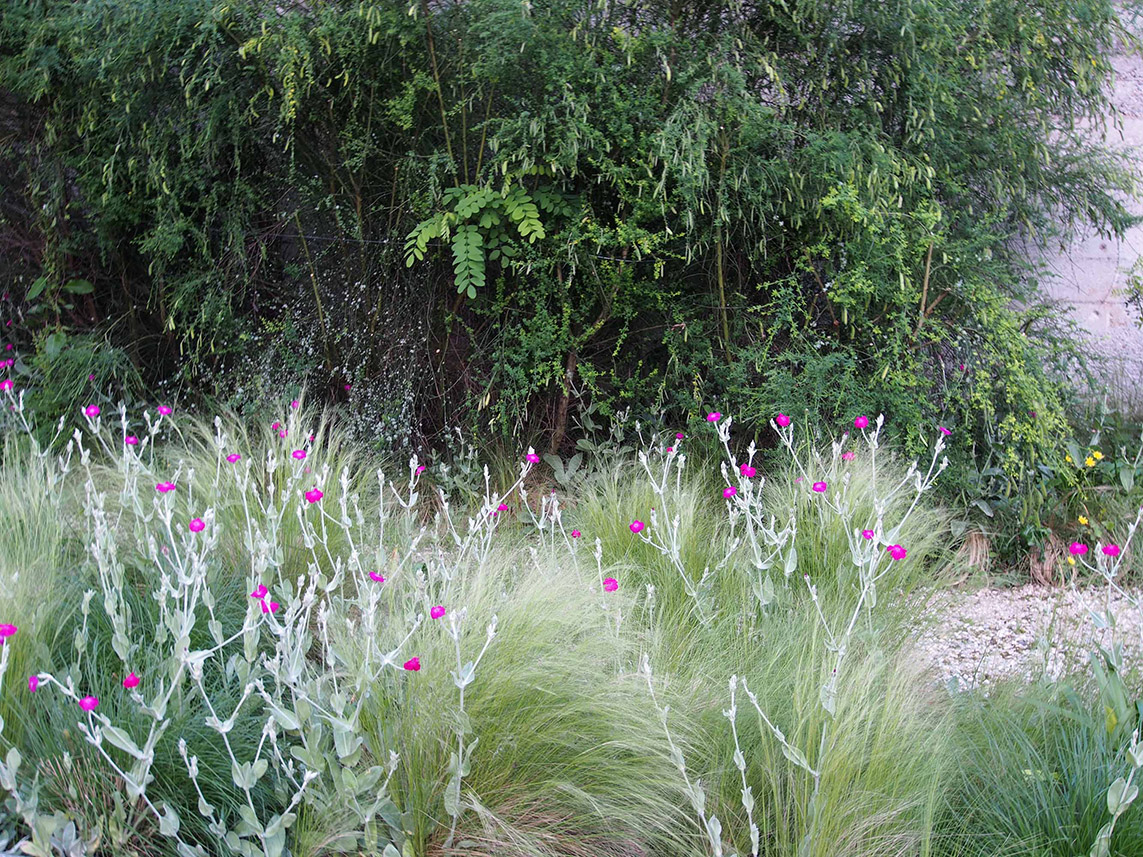 g311 20250523 (2)_low