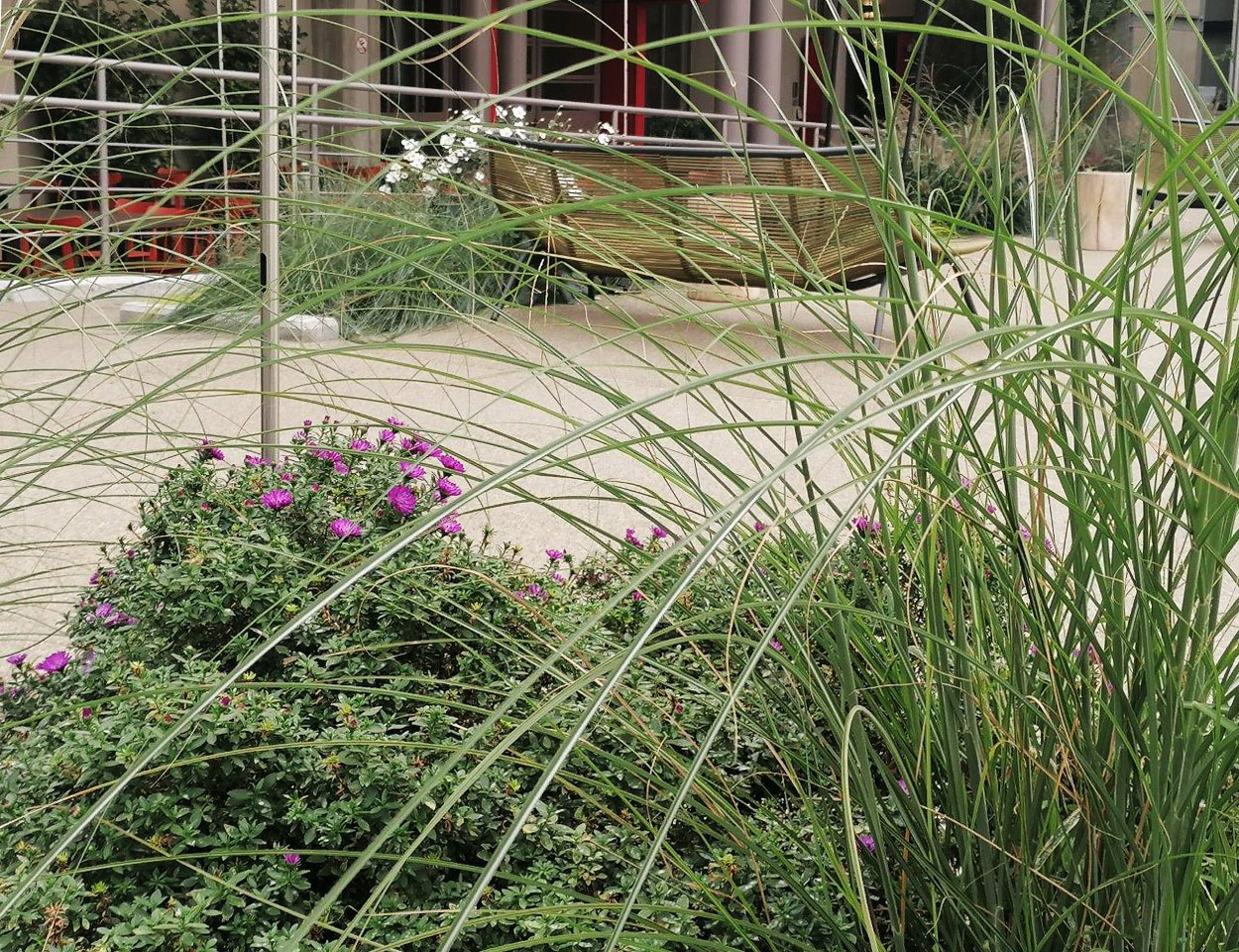 20221004 amplifon (18)